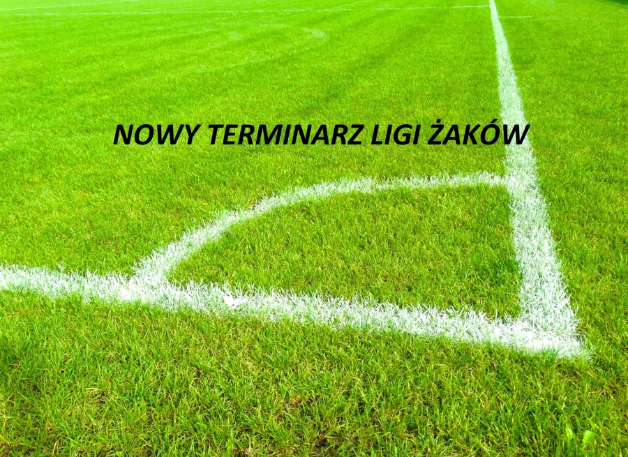 Terminarz Ligi Żaków - aktualny